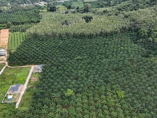 For sale land in Mueang Krabi, Krabi