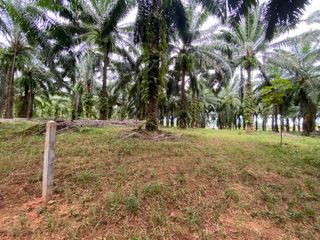 For sale land in Mueang Krabi, Krabi