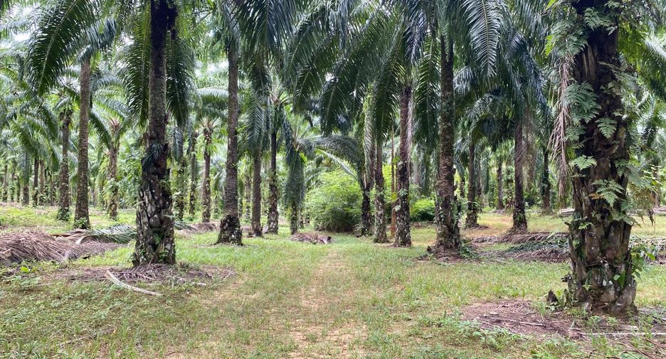For sale land in Mueang Krabi, Krabi