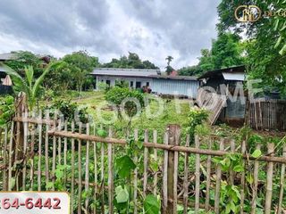 出售 土地 在 Pai, Mae Hong Son