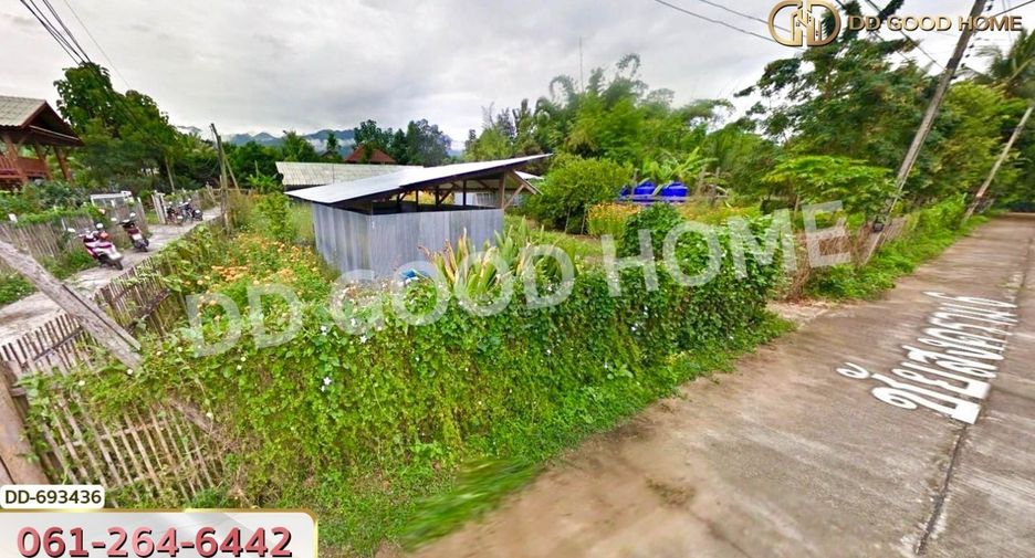 À vendre terrain à Pai, Mae Hong Son