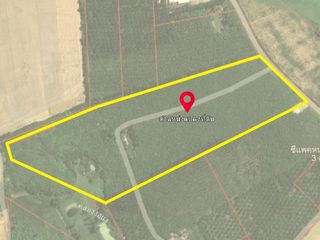 For sale land in Nong Yai, Chonburi