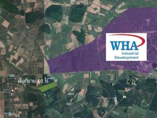 For sale land in Nong Yai, Chonburi