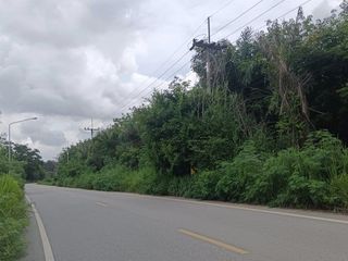 For sale land in Nong Yai, Chonburi