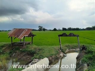 For sale land in Nong Ya Sai, Suphan Buri