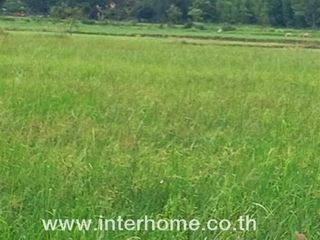 For sale land in Nong Ya Sai, Suphan Buri
