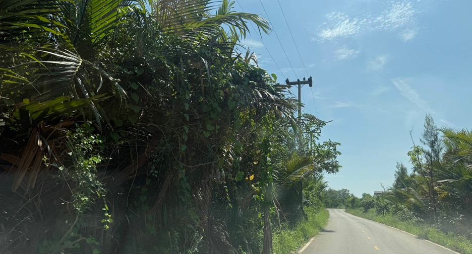 For sale land in Mueang Samut Songkhram, Samut Songkhram