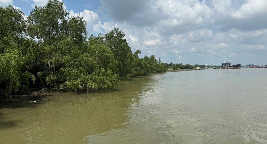 For sale land in Mueang Samut Songkhram, Samut Songkhram