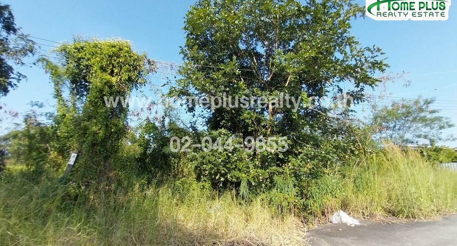 For sale land in Nong Chok, Bangkok