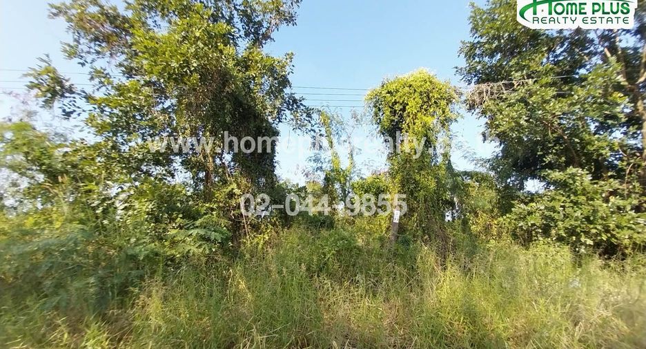 For sale land in Nong Chok, Bangkok