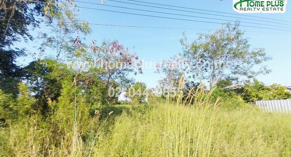 For sale land in Nong Chok, Bangkok