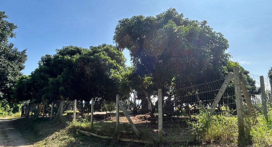 Terreno en venta en Chom Thong, Chiang Mai