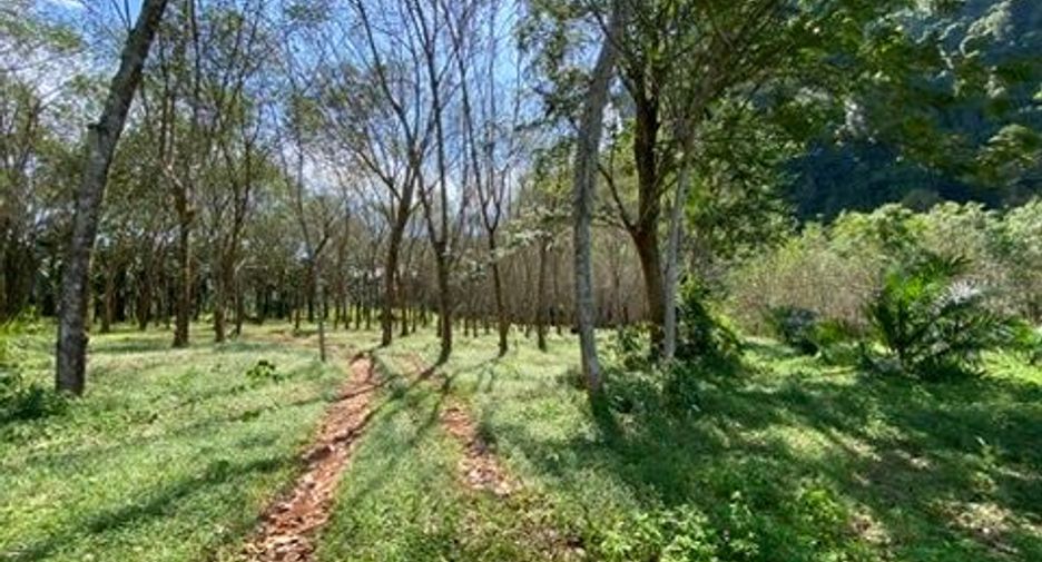 For sale land in Mueang Krabi, Krabi
