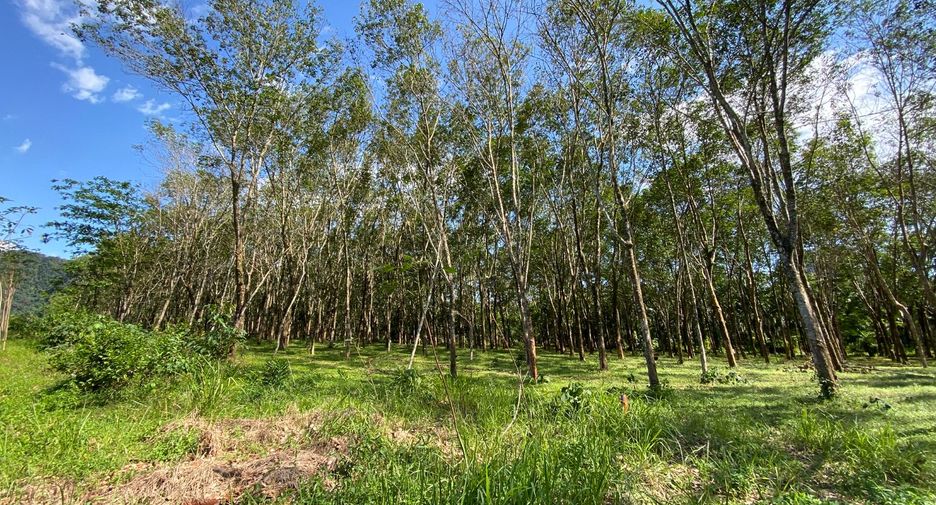 For sale land in Mueang Krabi, Krabi
