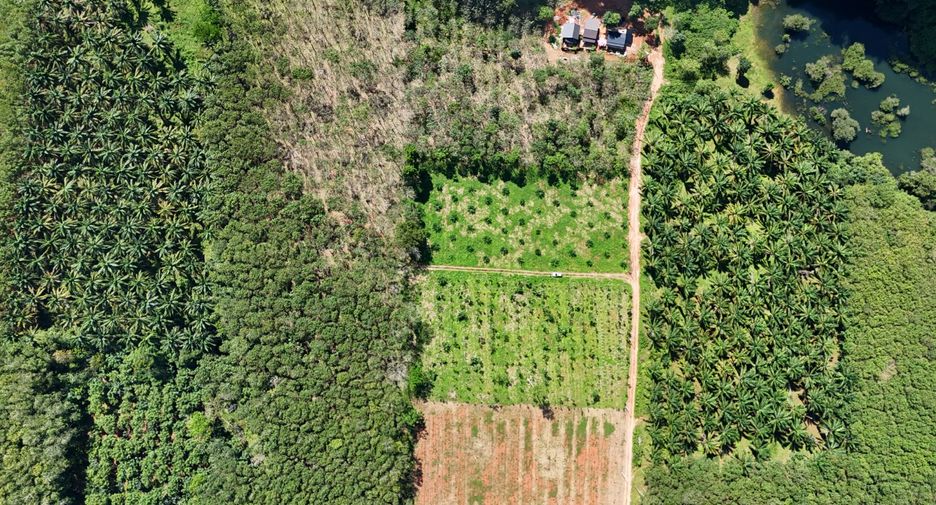 For sale land in Mueang Krabi, Krabi