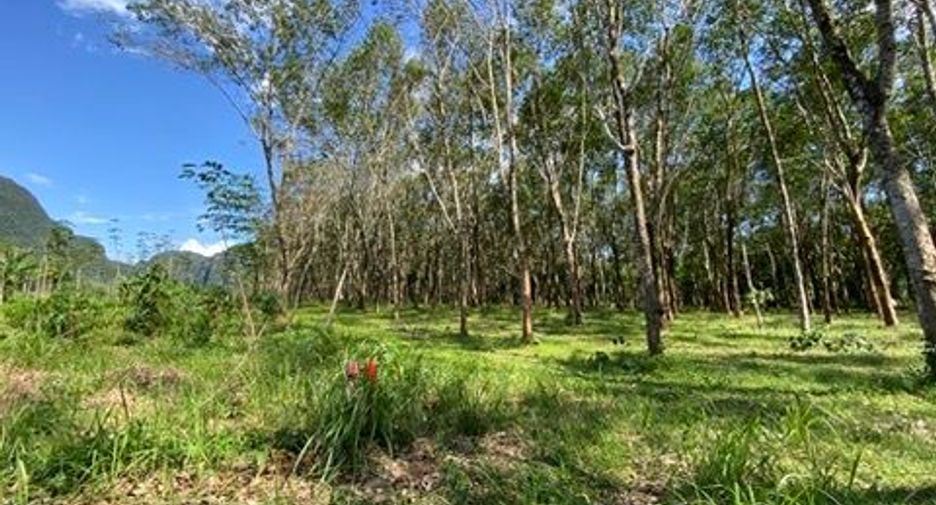 For sale land in Mueang Krabi, Krabi