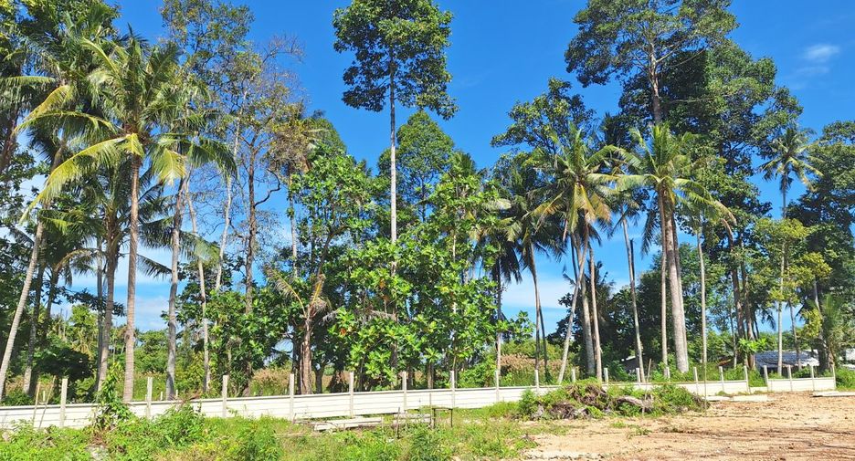 出售 土地 在 Klaeng, Rayong