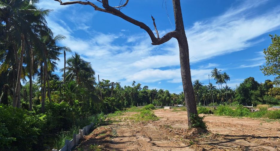 出售 土地 在 Klaeng, Rayong