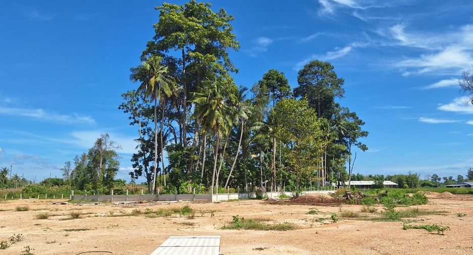 出售 土地 在 Klaeng, Rayong
