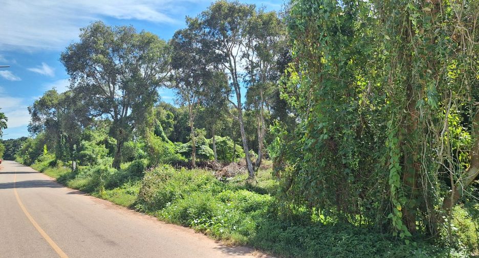 For sale land in Klaeng, Rayong