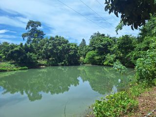出售 土地 在 Mueang Rayong, Rayong