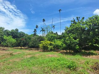 出售 土地 在 Mueang Rayong, Rayong