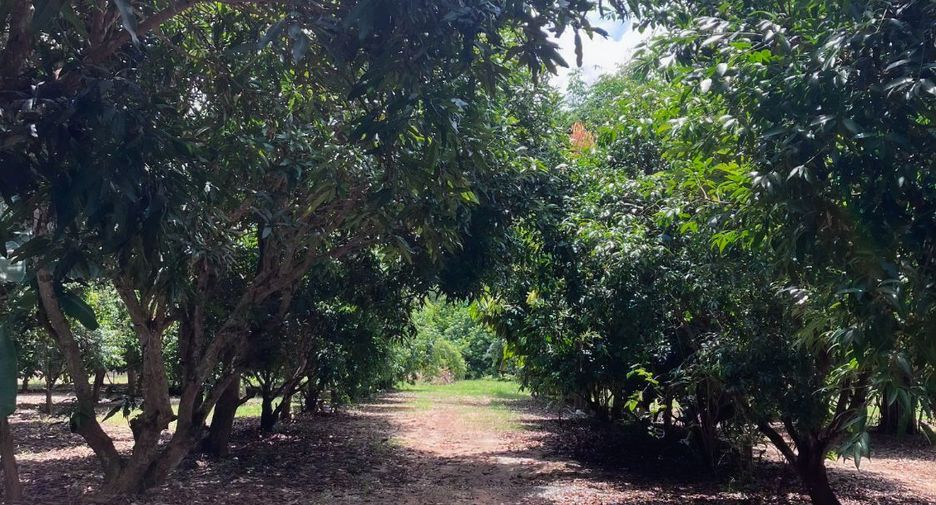 For sale land in Mueang Rayong, Rayong