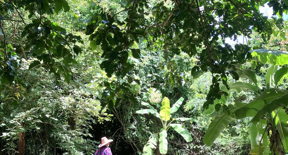 For sale land in Mueang Rayong, Rayong
