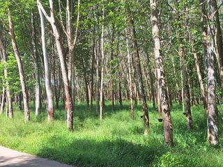 For sale land in Klaeng, Rayong