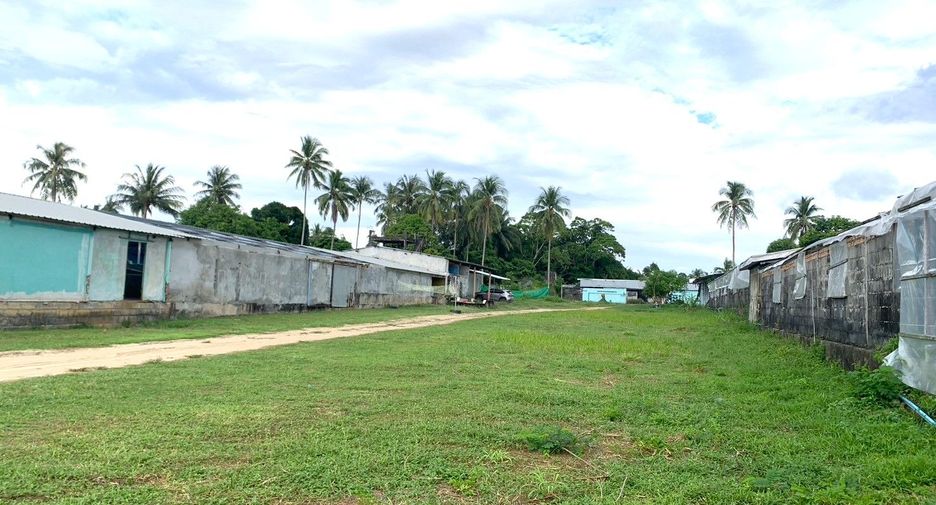For sale land in Takua Thung, Phang Nga