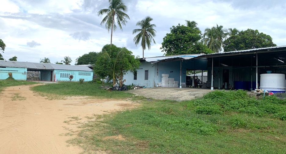 For sale land in Takua Thung, Phang Nga