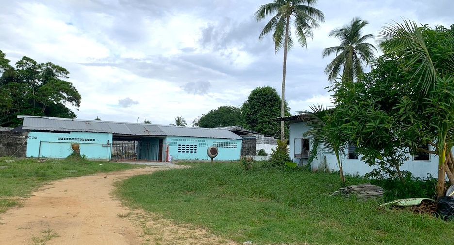 For sale land in Takua Thung, Phang Nga
