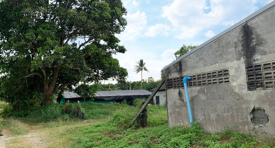 For sale land in Takua Thung, Phang Nga