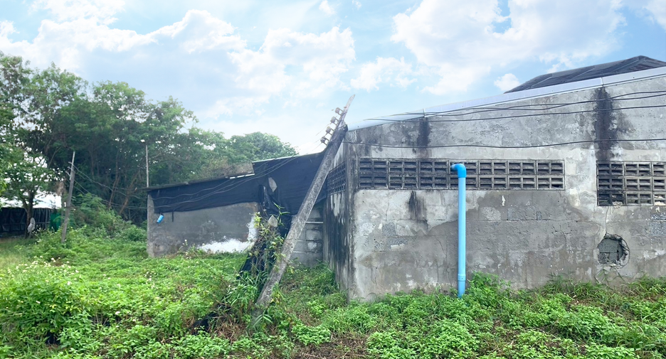 For sale land in Takua Thung, Phang Nga