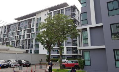 Wohnung zum Kauf mit Studio in Din Daeng, Bangkok