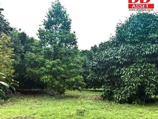 For sale land in Makham, Chanthaburi