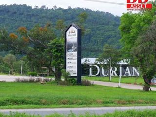 For sale land in Makham, Chanthaburi