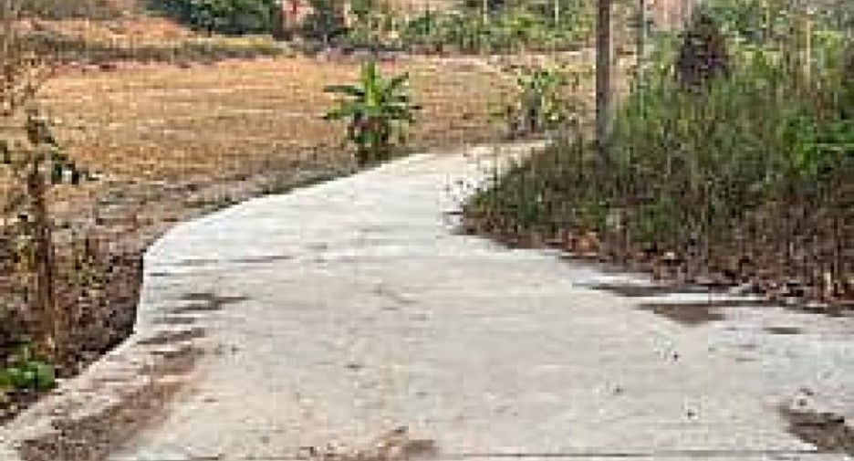 出售 土地 在 Wang Nuea, Lampang