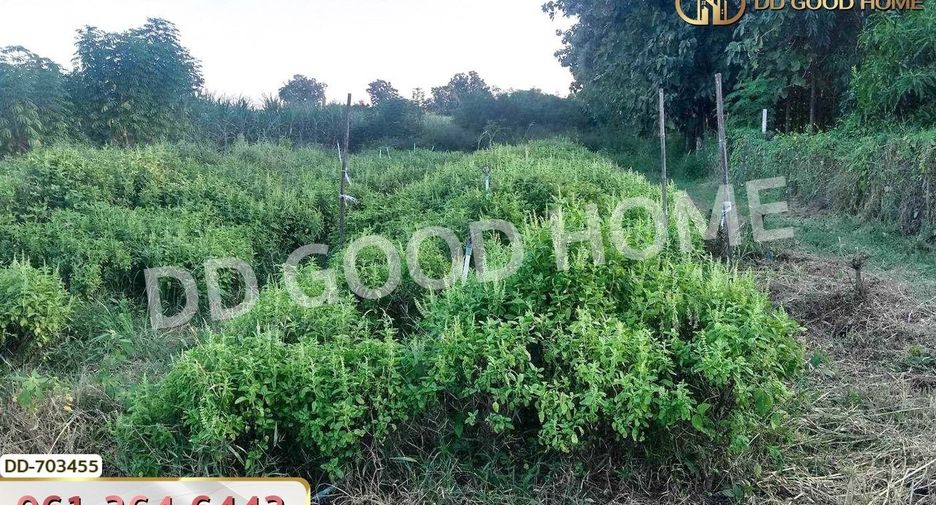 Grundstück zum Kauf in Kamphaeng Saen, Nakhon Pathom