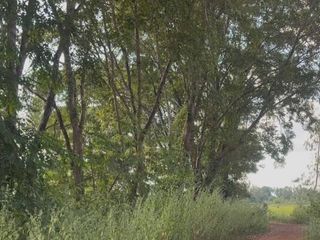 For sale land in Phang Khon, Sakon Nakhon