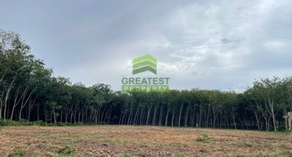 For sale land in Bang Klam, Songkhla