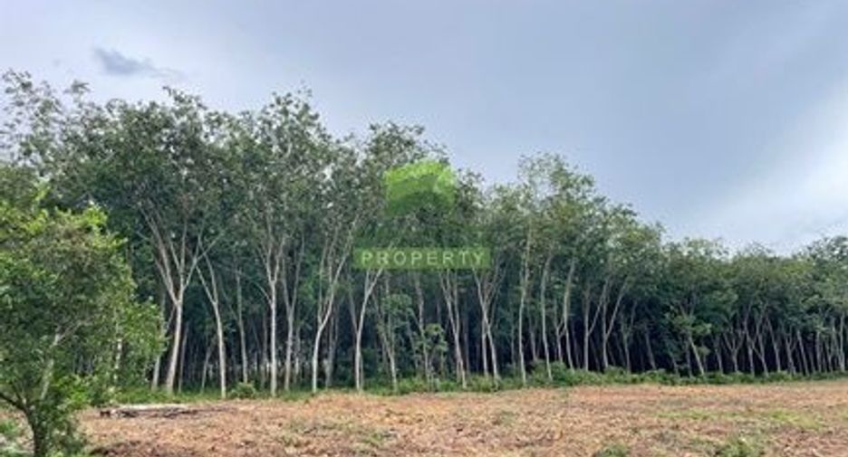 For sale land in Bang Klam, Songkhla