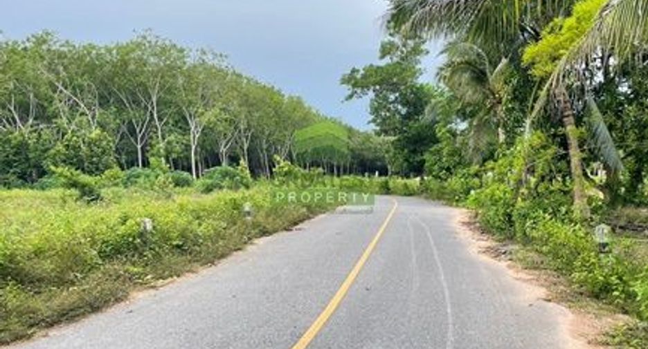 For sale land in Bang Klam, Songkhla