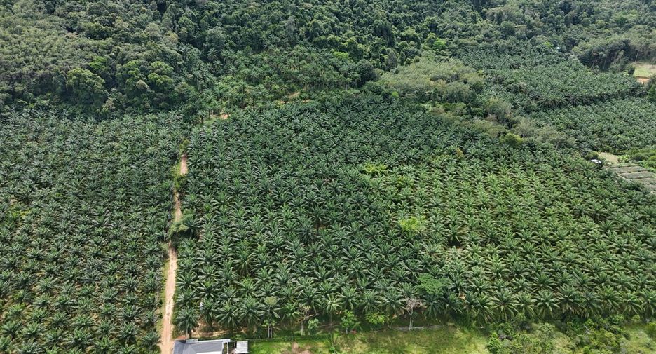 For sale land in Mueang Krabi, Krabi