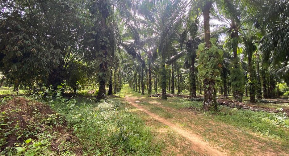 For sale land in Mueang Krabi, Krabi