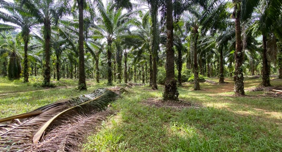 For sale land in Mueang Krabi, Krabi