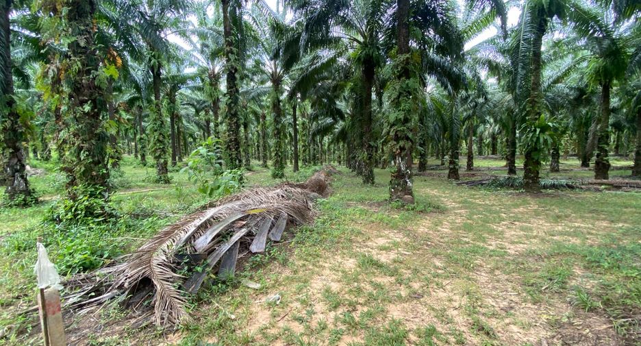 For sale land in Mueang Krabi, Krabi