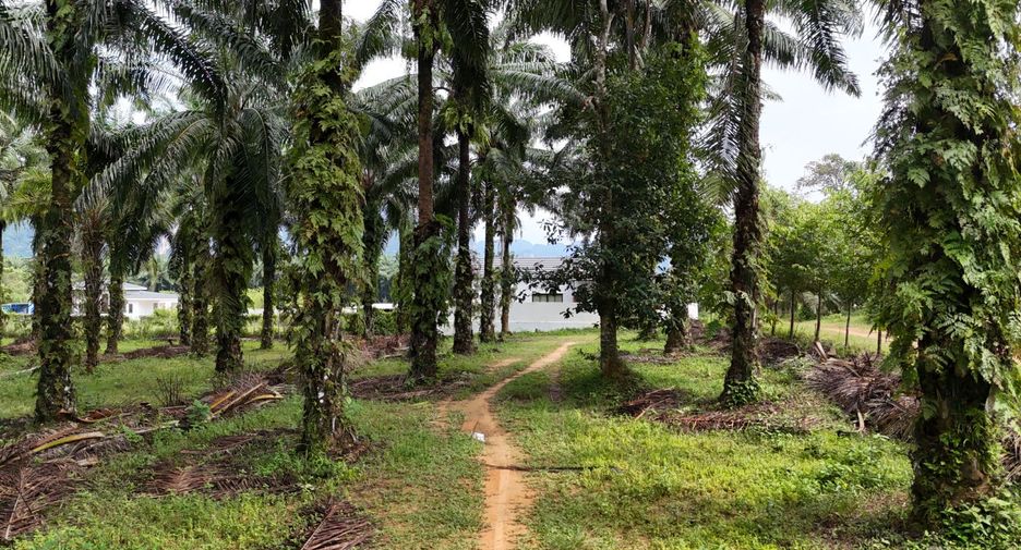 For sale land in Mueang Krabi, Krabi