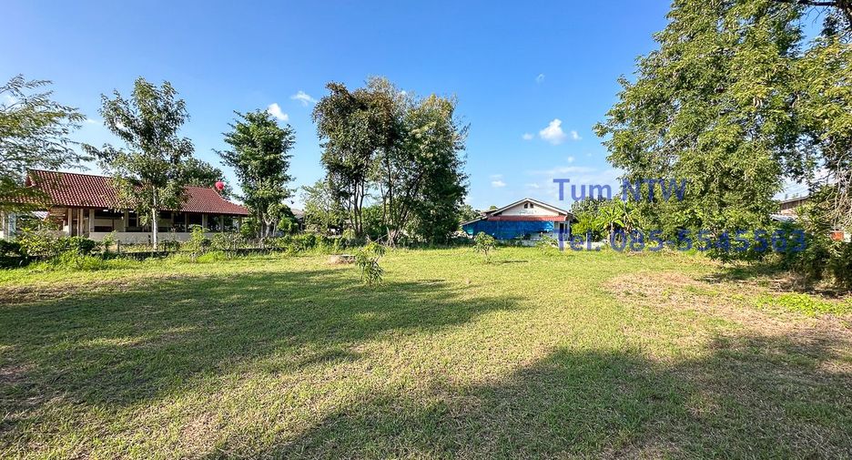 À vendre terrain à Doi Saket, Chiang Mai
