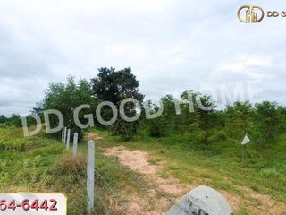 For sale land in Wang Hin, Sisaket
